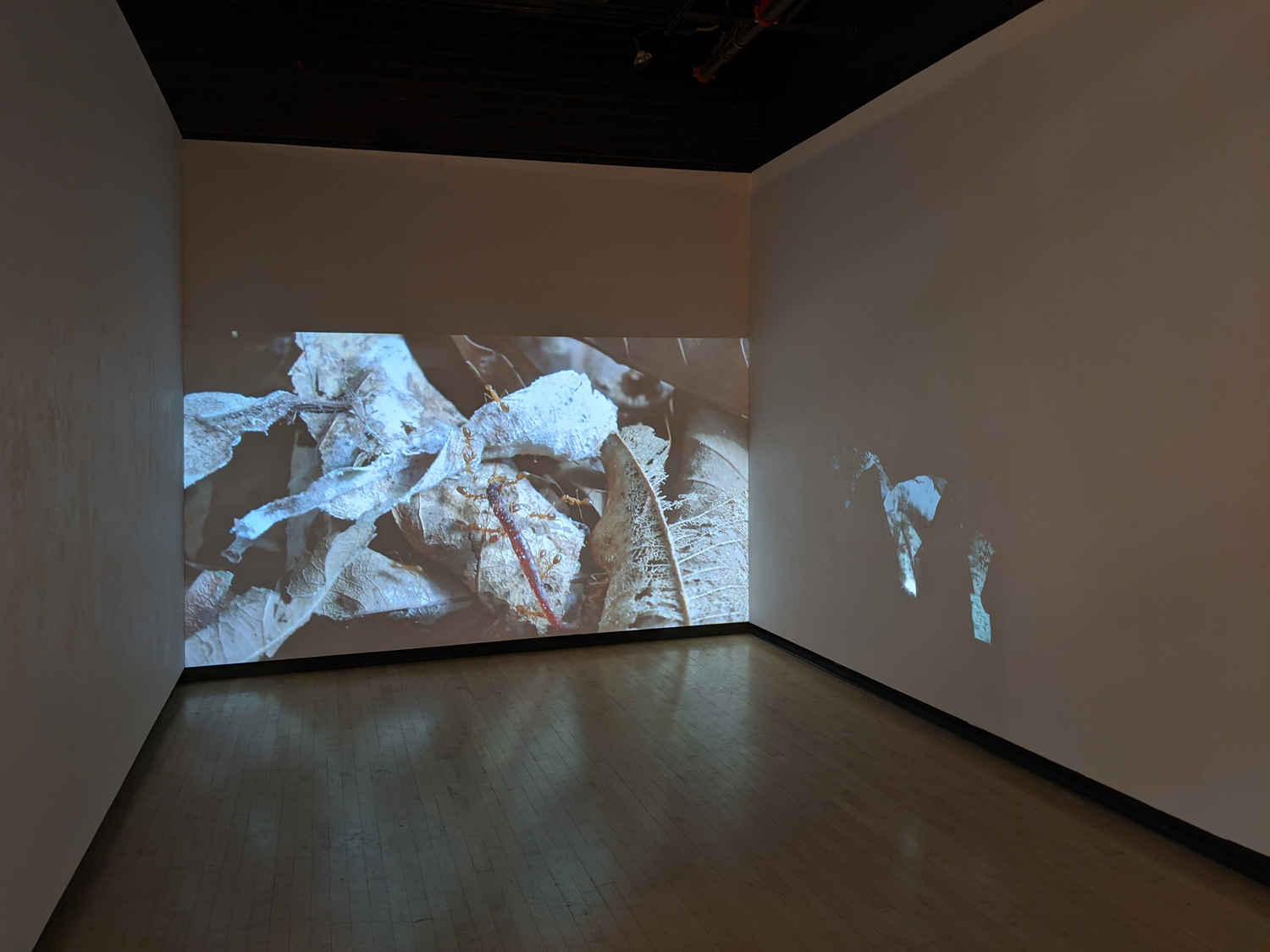 Installation view, GLAMFA 2020: Double Play, CSU Long Beach Art Galleries, 2020.