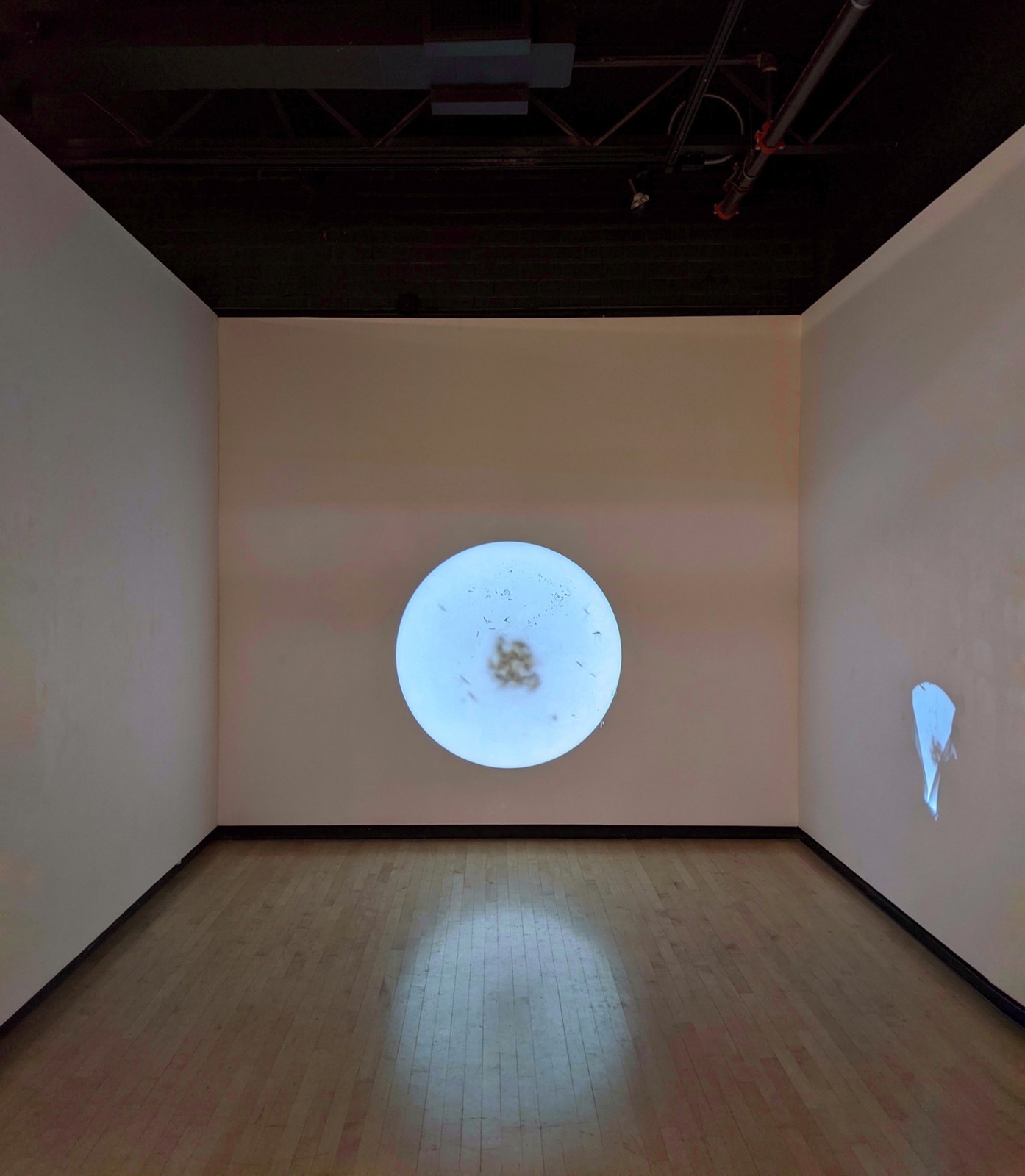 Installation view, GLAMFA 2020: Double Play, CSU Long Beach Art Galleries, 2020.