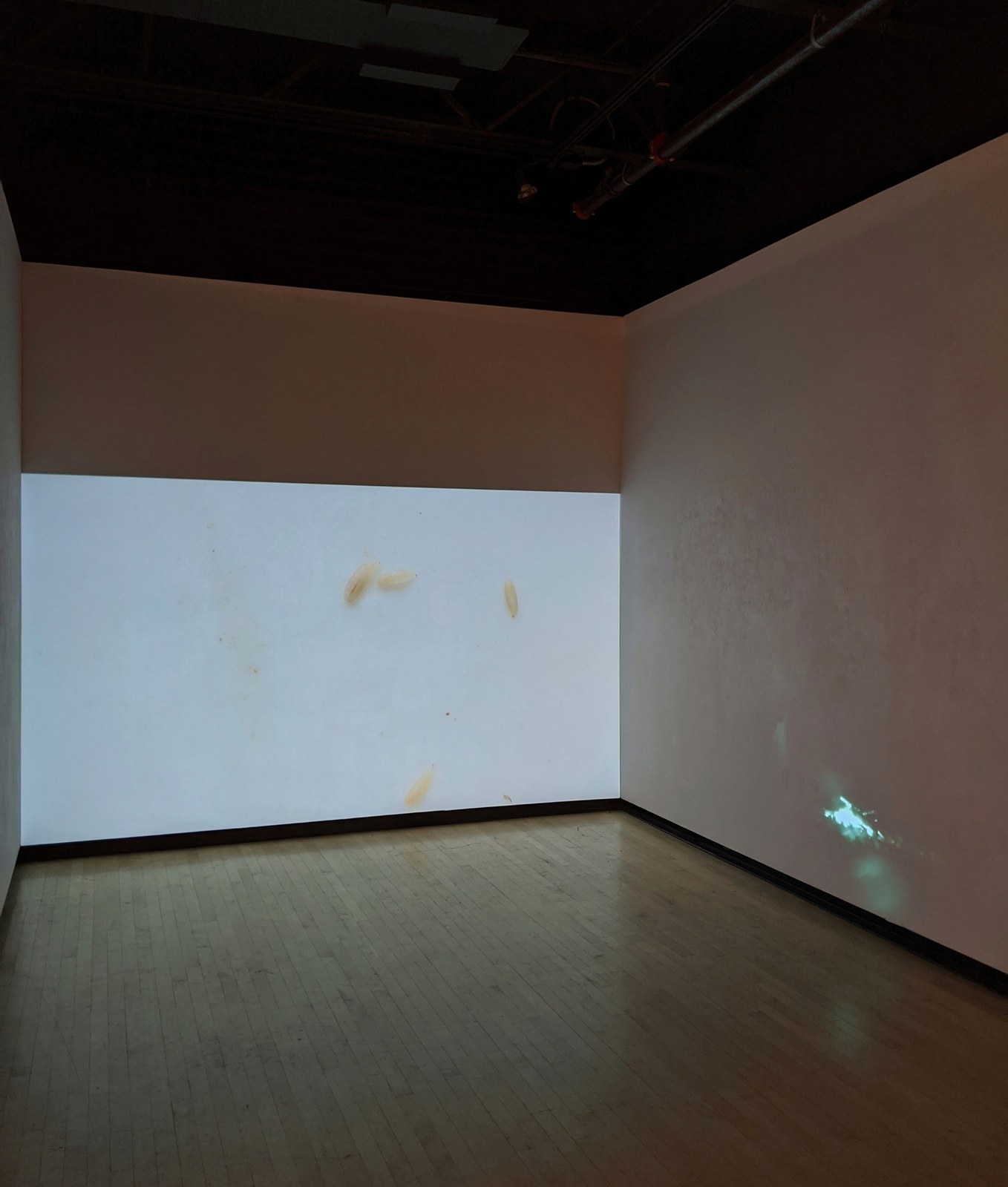 Installation view, GLAMFA 2020: Double Play, CSU Long Beach Art Galleries, 2020.