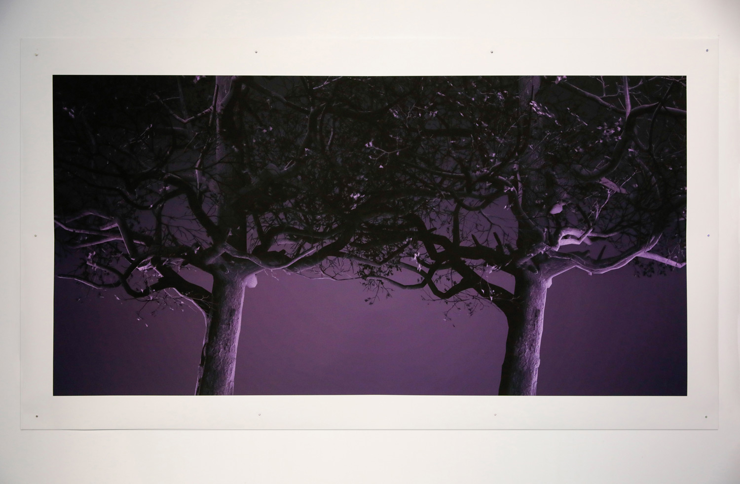 Witnesses, 2021. Roski Mateo Gallery, Los Angeles, 2021.
