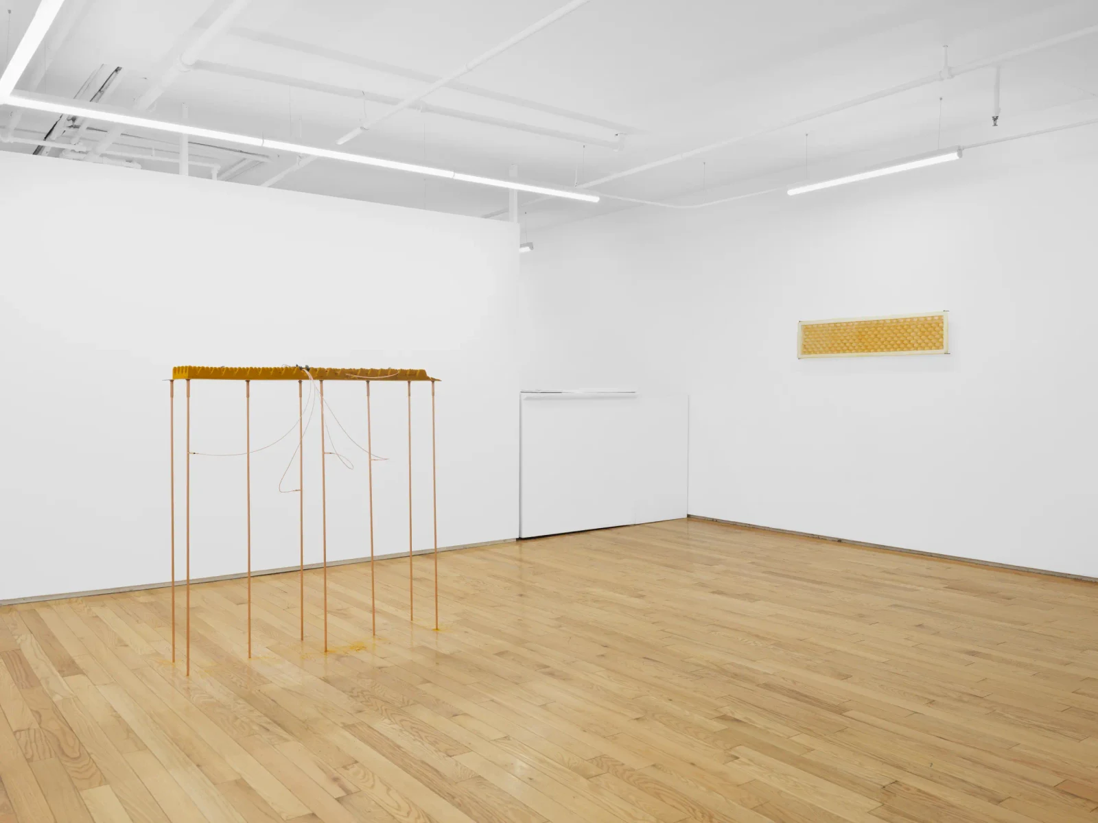 Installation view, Throughput, island gallery, New York, 2026.